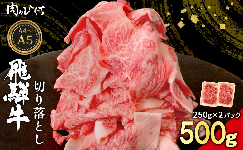 【12月16日入金分まで年内発送】飛騨牛 切り落とし 500g（250g×2P） A5 A4 国産 牛 黒毛和牛 和牛 牛肉 切落し 切り落し 薄切り 訳あり 牛丼 すき焼き しゃぶしゃぶ 炒め物 東白川村 岐阜 飛騨 贅沢 霜降り ロース バラ もも ウデ 肉のひぐち