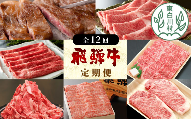 飛騨牛 定期便 全12回 A5等級すき焼き しゃぶしゃぶ ステーキ 焼肉 BBQ ロース カタロース ロースステーキ サーロインステーキ モモ カタ 切り落とし 贅沢 贈り物 12ヶ月 定期 1年 おすすめ 人気 選べる 飛騨 ブランド牛 養老ミート