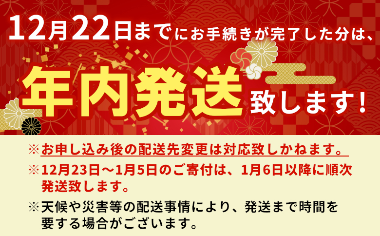 飛騨牛 サーロインステーキ 400g 200g×2枚 牛肉 和牛 肉 ステーキ 東白川村 岐阜 贅沢 霜降り 養老ミート 25000円