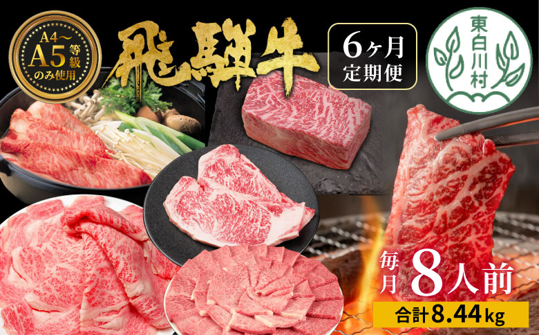 飛騨牛 定期便 全6回 約8.44kg 8人前 すき焼き しゃぶしゃぶ ステーキ 焼肉 BBQ ロース カタロース ロースステーキ モモ カタ 贅沢 贈り物 6ヶ月 定期 おすすめ 選べる 人気 飛騨 ブランド牛 肉のひぐち