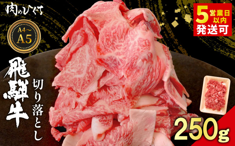 飛騨牛 切り落とし 250g A5 A4 国産 牛 黒毛和牛 和牛 牛肉 切落し 切り落し 薄切り 訳あり 牛丼 すき焼き しゃぶしゃぶ 炒め物 東白川村 岐阜 飛騨 贅沢 霜降り ロース バラ もも ウデ 肉のひぐち