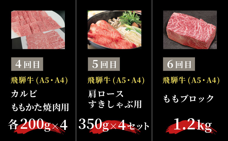 飛騨牛 定期便 全6回 約8.44kg 8人前 すき焼き しゃぶしゃぶ ステーキ 焼肉 BBQ ロース カタロース ロースステーキ モモ カタ 贅沢 贈り物 6ヶ月 定期 おすすめ 選べる 人気 飛騨 ブランド牛 肉のひぐち