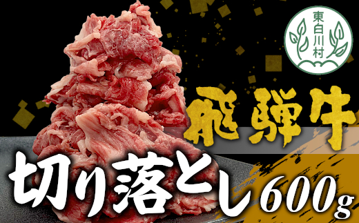 飛騨牛 切り落とし 600g 牛肉 和牛 肉 お肉 切落し 不揃い にく 切り落し ブランド牛 国産 