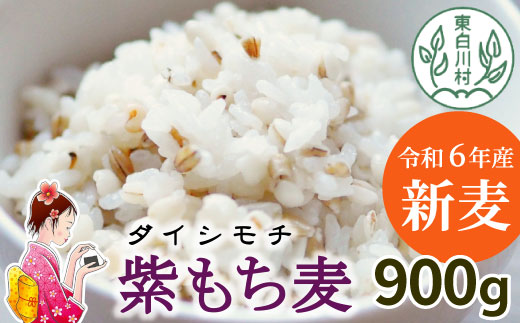 紫もち麦 900g ダイシモチ もち麦 雑穀 米 こめ 食物繊維 お米 大麦