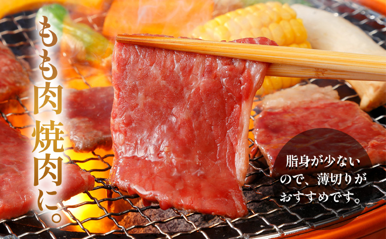 【7営業日以内発送】 飛騨牛 ももブロック 600g ローストビーフ ステーキ 焼肉 A5 A4 もも もも肉 ブロック肉 塊肉 国産 牛 冷凍 和牛 牛肉 豪華 ギフト 贈答  にく お肉 肉 東白川村 岐阜 飛騨 贅沢 霜降り 赤身 肉のひぐち