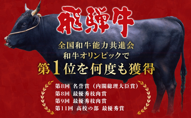 飛騨牛 サーロインステーキ 3枚 500g ステーキソース付き A5 A4 国産 牛 冷凍 和牛 牛肉 サーロイン ステーキ 豪華 ギフト 贈答 にく お肉 肉 東白川村 岐阜 飛騨 贅沢 霜降り 赤身 肉のひぐち