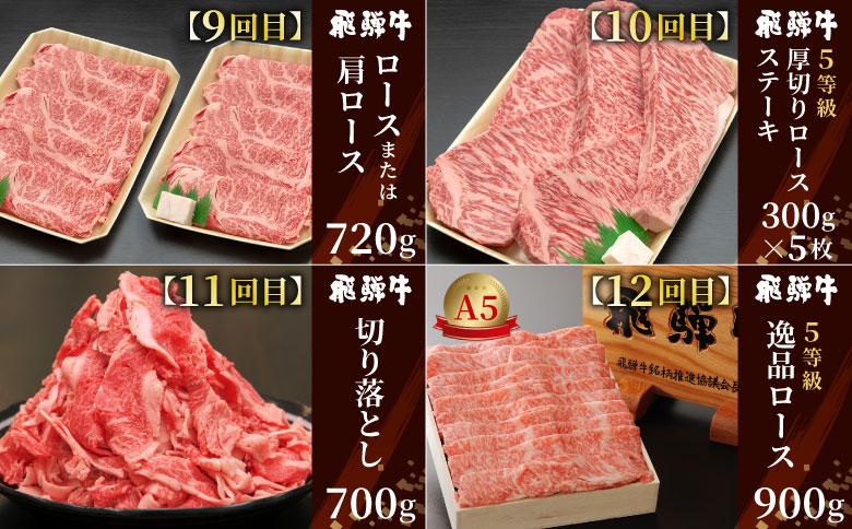 飛騨牛 定期便 全12回 A5等級すき焼き しゃぶしゃぶ ステーキ 焼肉 BBQ ロース カタロース ロースステーキ サーロインステーキ モモ カタ 切り落とし 贅沢 贈り物 12ヶ月 定期 1年 おすすめ 人気 選べる 飛騨 ブランド牛 養老ミート