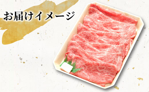 飛騨牛 モモまたはカタ すき焼き・しゃぶしゃぶ用 500g モモ カタ 肩 牛肉 和牛 肉 すき焼き しゃぶしゃぶ 東白川村 岐阜 贅沢 赤身 あっさり 養老ミート