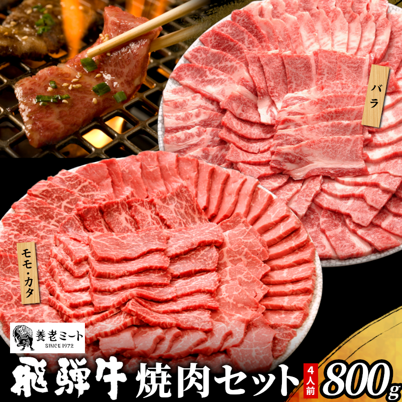 贅沢！ 飛騨牛 焼肉セット 計800g 4人前 牛肉 和牛 肉 焼肉 BBQ 霜降り カルビ 赤身 モモ カタ 東白川村 岐阜 養老ミート