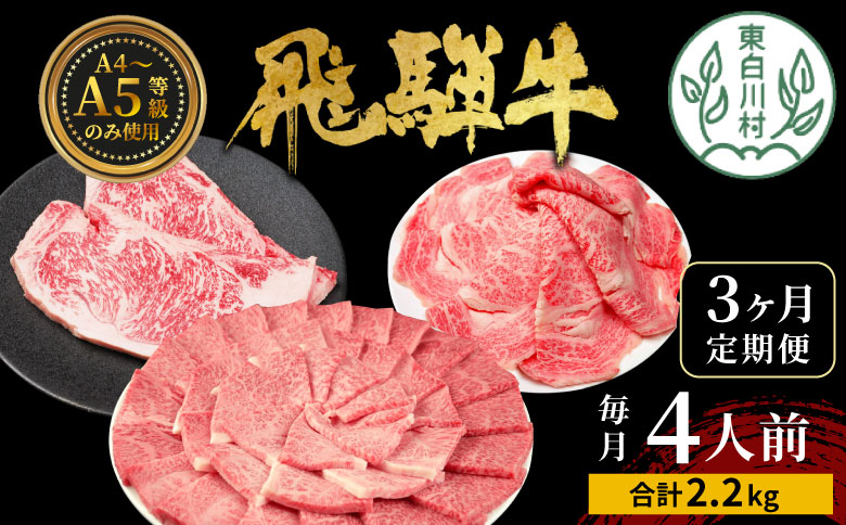 飛騨牛 定期便 全3回 計2.2kg 4人前 すき焼き しゃぶしゃぶ ステーキ 焼肉 BBQ ロース カタロース ロースステーキ モモ カタ 贅沢 贈り物 3ヶ月 定期 おすすめ 選べる 人気 飛騨 ブランド牛 肉のひぐち