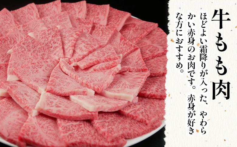 【7営業日以内発送】 飛騨牛 もも 焼肉用 1.1kg 550g×2 A5 A4 国産 牛 冷凍 和牛 牛肉 もも肉 モモ 焼き肉 やきにく 赤身 ギフト 贈答 おすすめ BBQ バーベキュー キャンプ にく お肉 肉 東白川村 岐阜 飛騨 贅沢 霜降り 肉のひぐち