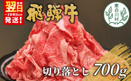 飛騨牛 切り落とし 700g  牛肉 和牛 肉 お肉 切落し 不揃い にく 切り落し 東白川村 ブランド牛 国産 人気 おすすめ 薄切り きりおとし 岐阜 すき焼き お取り寄せ 冷凍 養老ミート