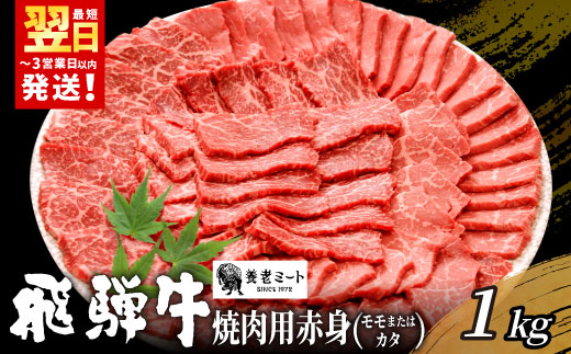 【最短発送】 贅沢！ 飛騨牛 モモまたはカタ 焼肉用 1kg 4〜6人前 牛肉 和牛 肉 焼肉 BBQ 霜降り カルビ 赤身 モモ カタ 東白川村 岐阜 養老ミート
