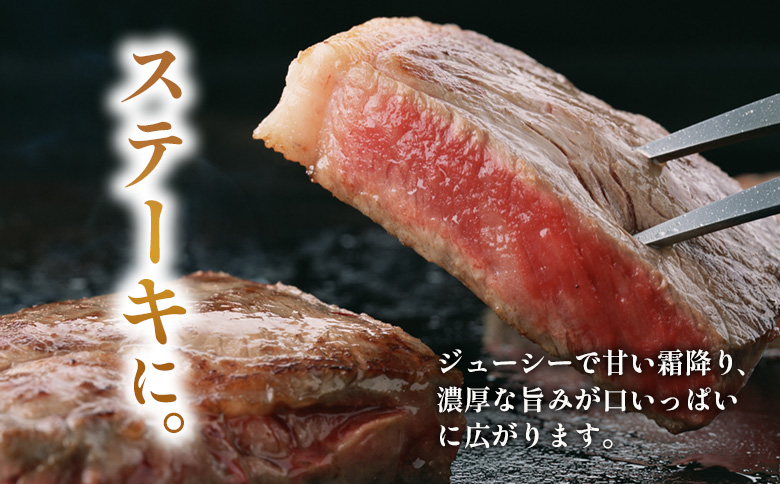 飛騨牛 サーロインステーキ 3枚 500g ステーキソース付き A5 A4 国産 牛 冷凍 和牛 牛肉 サーロイン ステーキ 豪華 ギフト 贈答 にく お肉 肉 東白川村 岐阜 飛騨 贅沢 霜降り 赤身 肉のひぐち
