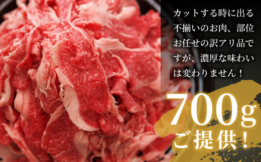 飛騨牛 切り落とし 700g 牛肉 和牛 肉 お肉 切落し 不揃い にく 切り落し  薄切り