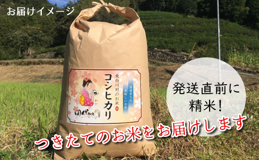 【令和7年度産・先行受付】令和7年産 コシヒカリ 白米 約4.25kg 米 岐阜県 東白川村産 新米 お米 こめ 精米 ご飯 おにぎり 食物繊維 低GI 返礼品 ふるさと納税 9000円