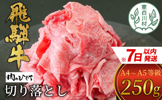 [7営業日以内発送] 飛騨牛 切り落とし 250g A5 A4 国産 牛 冷凍 お試し 和牛 牛肉 切落し 切り落し 訳あり 牛丼 すき焼き しゃぶしゃぶ 東白川村 岐阜 飛騨 贅沢 霜降り ロース バラ もも ウデ 肉のひぐち