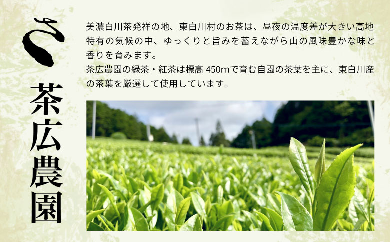 和紅茶ティーバッグ べにふうき 8個×2袋 東白川村産 岐阜県産 特選 和紅茶 紅茶 ティーバッグ お茶 ティーバック ティーパック ホット アイス おためし