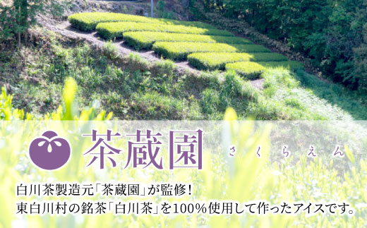 白川茶100％使用！東白川村産 お茶アイス 濃い煎茶＆ほうじ茶 8個セット 2種×4個