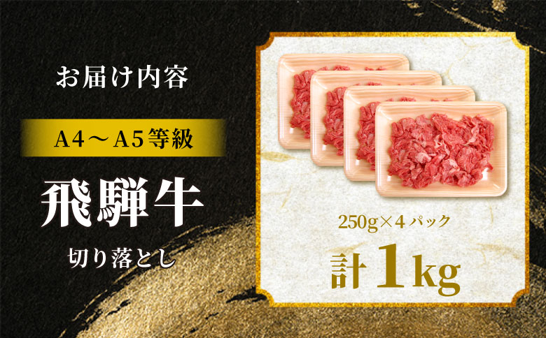 飛騨牛 切り落とし 1kg（250g×4P） A5 A4 国産 牛 黒毛和牛 和牛 牛肉 切落し 切り落し 薄切り 訳あり 牛丼 すき焼き しゃぶしゃぶ 炒め物 東白川村 岐阜 飛騨 贅沢 霜降り ロース バラ もも ウデ 肉のひぐち