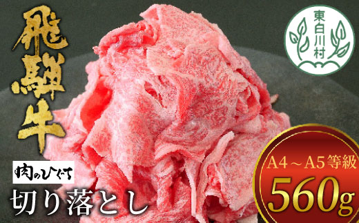 【1月発送】飛騨牛 切り落とし 560g A5 A4 国産 牛 冷凍 お試し 和牛 牛肉 切落し 切り落し 薄切り 訳あり 牛丼 すき焼き しゃぶしゃぶ 東白川村 岐阜 飛騨 贅沢 霜降り ロース バラ もも ウデ 肉のひぐち