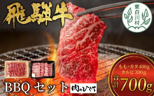 【1月発送】飛騨牛 BBQセット (カルビ300g＋もも・カタ焼肉用400g) 計700g A5 A4 国産 牛 冷凍 和牛 牛肉 カルビ もも モモ カタ 肩 かた 豪華 ギフト 贈答  にく お肉 肉 東白川村 岐阜 飛騨 贅沢 霜降り 赤身 肉のひぐち