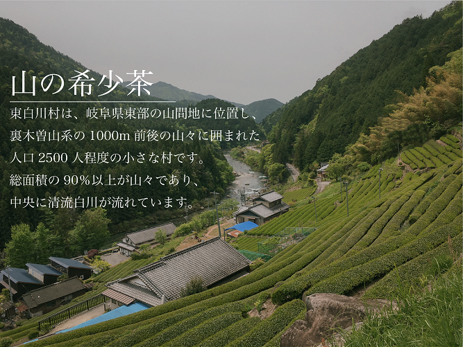 çœå·è¶ãèŽ
æ²¢ã«é£²ã¿æ¯ã¹ïŒ çœå·è¶ è©°ãåããã»ãã 3çš® ãè¶ ç
è¶ ç·è¶ çŸæ¿çœå·è¶ æ¥æ¬è¶ è¶è ãã£ãŒ åœç£ å²éç æ±çœå·æ ãè¶ã»ãã ç¹ç£å åç£å éè¶ ãåãå¯ã ç£å°çŽé 蟲è¬äžäœ¿çš æ¬æ Œ äžå å³éž äººæ° èŽãç© ã®ãã èŽç ãã¬ãŒã³ã 12000å