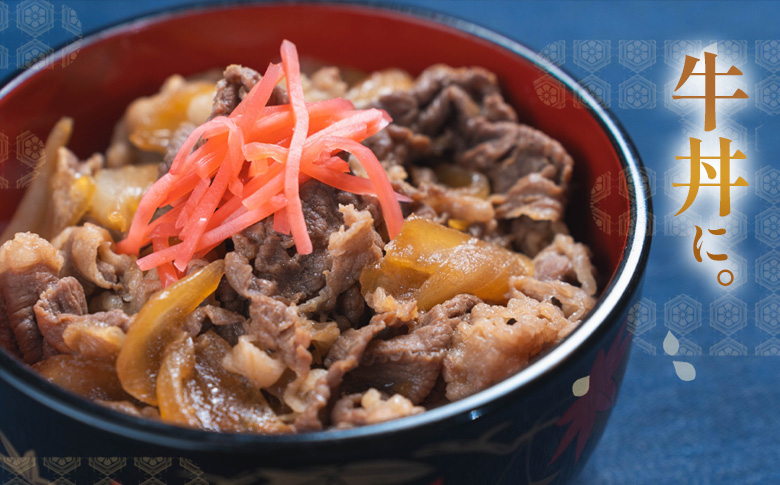 飛騨牛 切り落とし 500g（250g×2P） A5 A4 国産 牛 黒毛和牛 和牛 牛肉 切落し 切り落し 薄切り 訳あり 牛丼 すき焼き しゃぶしゃぶ 炒め物 東白川村 岐阜 飛騨 贅沢 霜降り ロース バラ もも ウデ 肉のひぐち