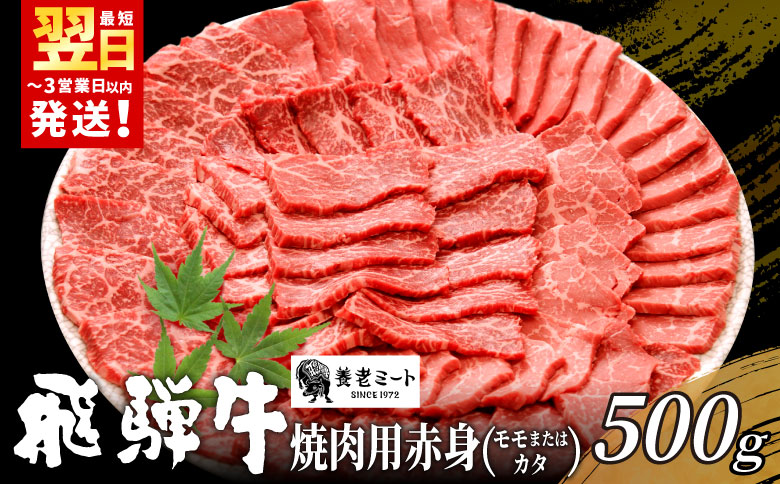 【最短発送】 贅沢！ 飛騨牛 モモまたはカタ 焼肉用 500g 2〜3人前 牛肉 和牛 肉 焼肉 BBQ 霜降り カルビ 赤身 モモ カタ 東白川村 岐阜 養老ミート