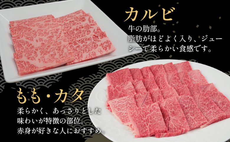 【7営業日以内発送】 飛騨牛 BBQセット (カルビ300g＋もも・カタ焼肉用400g) 計700g A5 A4 国産 牛 冷凍 和牛 牛肉 カルビ もも モモ カタ 肩 かた 豪華 ギフト 贈答  にく お肉 肉 東白川村 岐阜 飛騨 贅沢 霜降り 赤身 肉のひぐち