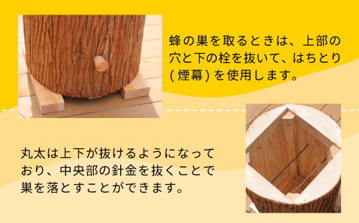 東白川村 タカブ用飼育箱 蜂 巣箱 タカブ 蜂の子 木箱 養蜂 ハチミツ 蜂蜜 クロスズメバチ 飼育