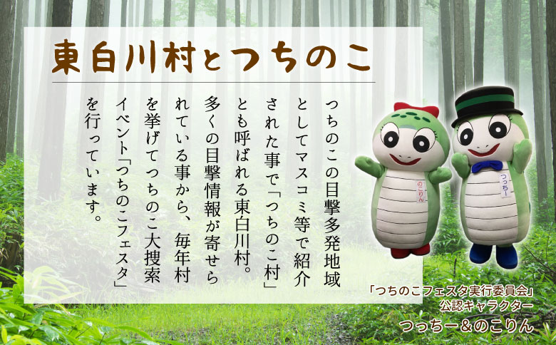 【冷凍】道の駅の大人気名物！つちのこ村の つちのこ焼き 10匹 (あんこ カスタード) つぶあん たい焼き 和菓子 冷凍 つぶあん 粒あん カスタード 個包装 東白川村 ツチノコ つちのこ