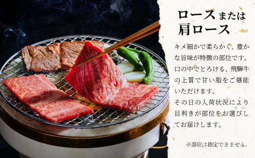 飛騨牛 ロースまたは肩ロース 焼肉用 600g 牛肉 和牛 肉 焼肉 BBQ ロース カタロース 肩ロース 東白川村 岐阜 贅沢 霜降り 養老ミート