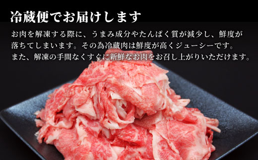 飛騨牛 4等級以上 切り落とし 560g 牛肉 牛肉 和牛 肉 切落し ブランド牛 A4 A5 国産 切り落し