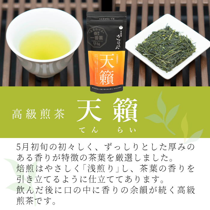 茶蔵園 春摘み煎茶セット (5袋入) 日本茶 煎茶 お茶 茶 白川茶 美濃白川茶 高級煎茶