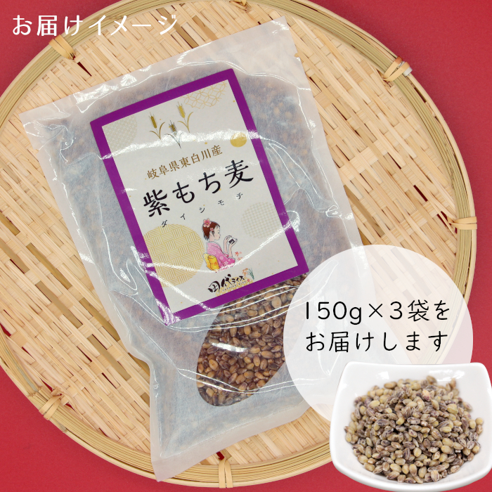 紫もち麦 150g×3袋 450g ダイシモチ もち麦 雑穀 米 こめ 食物繊維 お米 大麦