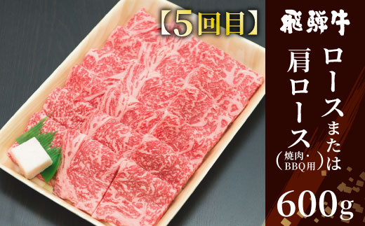 飛騨牛 定期便 全6回 A5等級すき焼き しゃぶしゃぶ ステーキ 焼肉 BBQ ロース カタロース ロースステーキ サーロインステーキ モモ カタ 切り落とし 贅沢 贈り物 6ヶ月 定期 おすすめ 人気 選べる 飛騨 ブランド牛 養老ミート