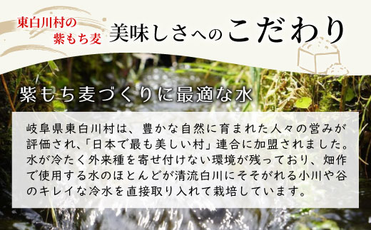 紫もち麦 900g ダイシモチ もち麦 雑穀 米 こめ 食物繊維 お米 大麦