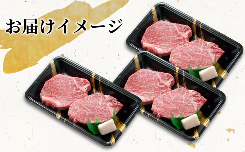 飛騨牛 希少部位 ヒレステーキ 900g 150g×6枚 牛肉 和牛 肉 ステーキ ヒレ フィレ 最高級部位 赤身 肉 牛 牛肉 鉄板焼き お祝い 贈答 ギフト 贈り物 ふるさと納税 東白川村 岐阜 贅沢 霜降り 養老ミート