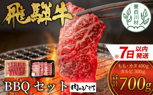 【7営業日以内発送】 飛騨牛 BBQセット (カルビ300g＋もも・カタ焼肉用400g) 計700g A5 A4 国産 牛 冷凍 和牛 牛肉 カルビ もも モモ カタ 肩 かた 豪華 ギフト 贈答  にく お肉 肉 東白川村 岐阜 飛騨 贅沢 霜降り 赤身 肉のひぐち