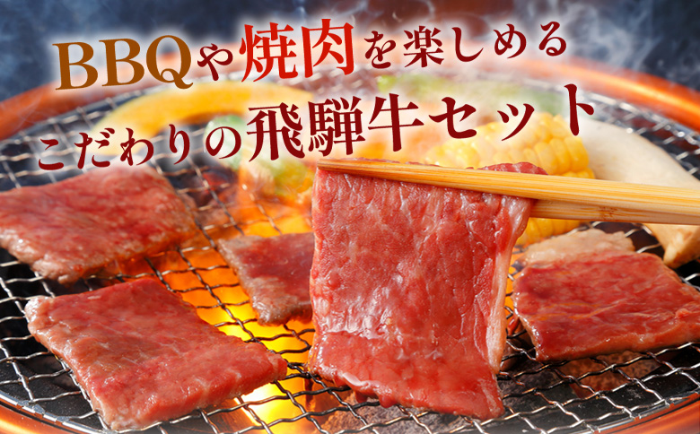 【7営業日以内発送】 飛騨牛 BBQセット (カルビ300g＋もも・カタ焼肉用400g) 計700g A5 A4 国産 牛 冷凍 和牛 牛肉 カルビ もも モモ カタ 肩 かた 豪華 ギフト 贈答  にく お肉 肉 東白川村 岐阜 飛騨 贅沢 霜降り 赤身 肉のひぐち