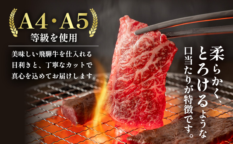 【7営業日以内発送】 飛騨牛 BBQセット (カルビ300g＋もも・カタ焼肉用400g) 計700g A5 A4 国産 牛 冷凍 和牛 牛肉 カルビ もも モモ カタ 肩 かた 豪華 ギフト 贈答  にく お肉 肉 東白川村 岐阜 飛騨 贅沢 霜降り 赤身 肉のひぐち