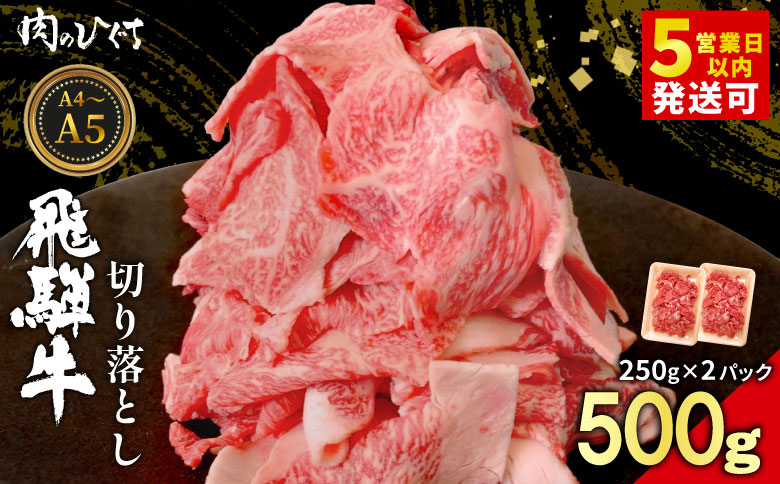 飛騨牛 切り落とし 500g（250g×2P） A5 A4 国産 牛 黒毛和牛 和牛 牛肉 切落し 切り落し 薄切り 訳あり 牛丼 すき焼き しゃぶしゃぶ 炒め物 東白川村 岐阜 飛騨 贅沢 霜降り ロース バラ もも ウデ 肉のひぐち