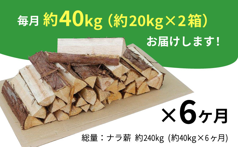 【6ヶ月定期便】なら薪 中〜大割 約40kg ( 約20kg×2箱 ) 計240kg 6回 6ヶ月 中割 大割 薪ストーブ アウトドア キャンプ 焚火 暖炉 楢 ナラ 薪 まき 雑貨 日用品 定期便 定期 選べる 発送月 毎月届く 森林 木 木材 東白川村