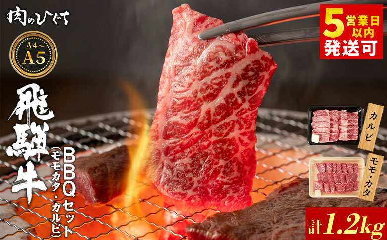 飛騨牛 BBQセット（カルビ・モモカタ） 1.2kg A5 A4 国産 牛 冷凍 和牛 牛肉 カルビ もも モモ カタ 肩 かた 豪華 ギフト 贈答 にく お肉 肉 東白川村 岐阜 飛騨 贅沢 霜降り 赤身 肉のひぐち
