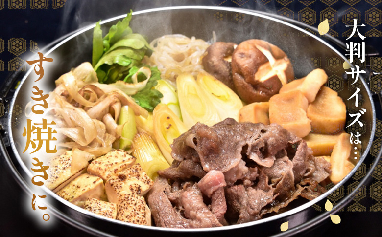 飛騨牛 切り落とし 500g（250g×2P） A5 A4 国産 牛 黒毛和牛 和牛 牛肉 切落し 切り落し 薄切り 訳あり 牛丼 すき焼き しゃぶしゃぶ 炒め物 東白川村 岐阜 飛騨 贅沢 霜降り ロース バラ もも ウデ 肉のひぐち