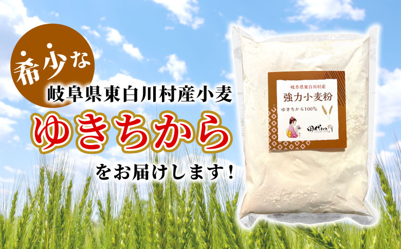 岐阜県 東白川村産 強力粉 小麦粉 ゆきちから 500g