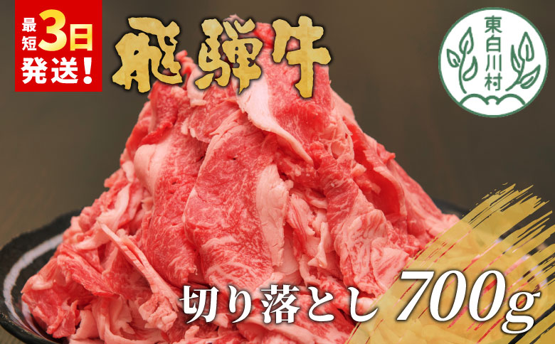 飛騨牛 切り落とし 700g  牛肉 和牛 肉 お肉 切落し 不揃い にく 切り落し 東白川村 ブランド牛 国産 人気 おすすめ 薄切り きりおとし 岐阜 すき焼き お取り寄せ 冷凍 養老ミート