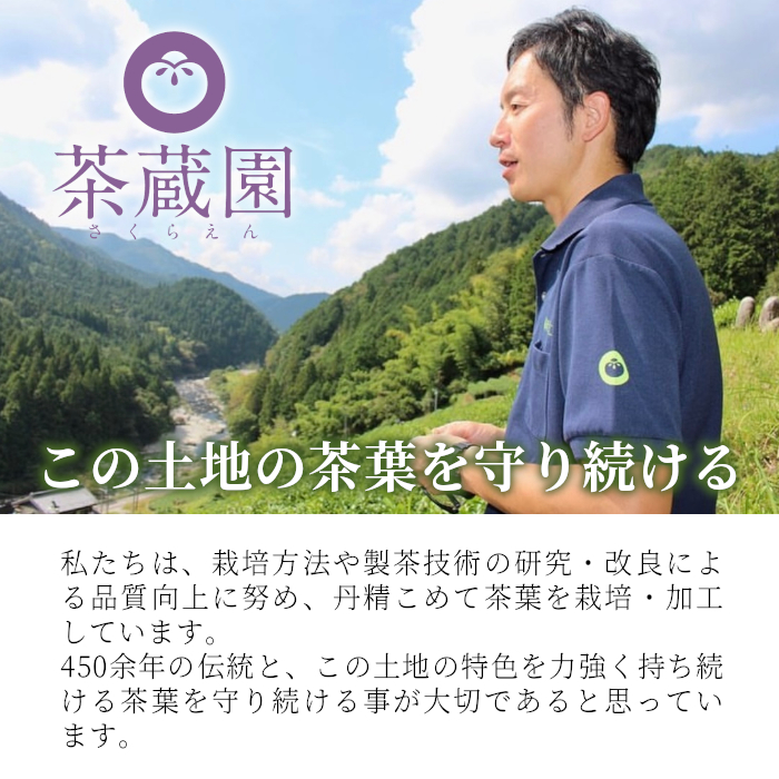 香りと味の調和 特選煎茶「清流-せいりゅう-」 3袋入 80g 茶蔵園 緑茶 日本茶 煎茶 茶葉 お茶