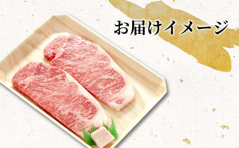 飛騨牛 サーロインステーキ 400g 200g×2枚 牛肉 和牛 肉 ステーキ 東白川村 岐阜 贅沢 霜降り 養老ミート 25000円